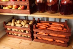 Условия для хранения фруктов и овощей