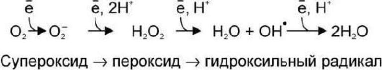 Схема образования пероксида водорода
