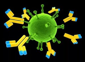 Антигены и иммуногены