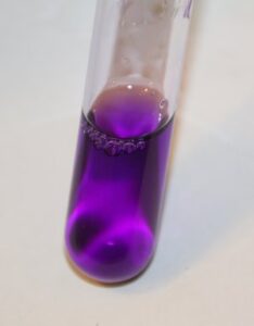 Фиолетовая моча