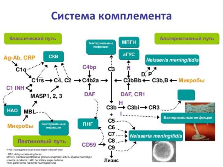 Какое слово следует вставить вместо при активации система открывает соответствующий файл