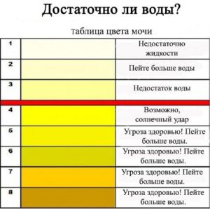 Цвет мочи в норме у взрослых женщин фото